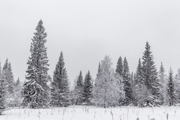 Obraz premium Winter landscape. Zyuratkul national Park, Chelyabinsk region, South Ural, Russia.