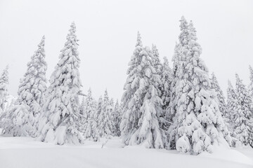 Winter landscape. Zyuratkul national Park, Chelyabinsk region, South Ural, Russia.