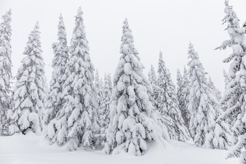 Winter landscape. Zyuratkul national Park, Chelyabinsk region, South Ural, Russia.