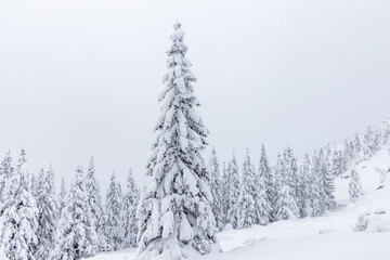 Fototapeta premium Winter landscape. Zyuratkul national Park, Chelyabinsk region, South Ural, Russia.