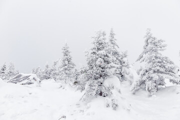 Winter landscape. Zyuratkul national Park, Chelyabinsk region, South Ural, Russia.