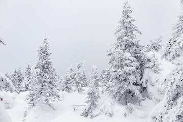 Winter landscape. Zyuratkul national Park, Chelyabinsk region, South Ural, Russia.