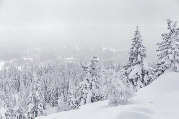 Winter landscape. Zyuratkul national Park, Chelyabinsk region, South Ural, Russia.