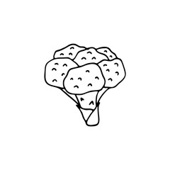 Doodle cauliflower, broccoli. Hand-drawn images. Vector for posters, web, textiles, children's coloring pages.