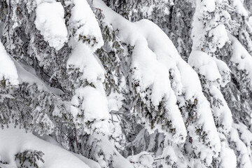 Winter landscape. Zyuratkul national Park, Chelyabinsk region, South Ural, Russia