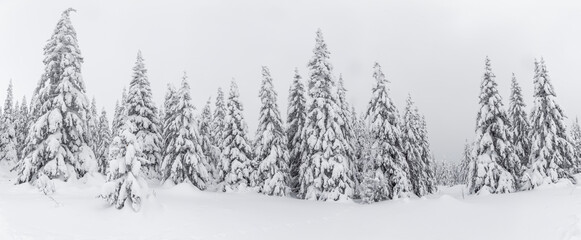 Obraz na płótnie Canvas Winter landscape. Zyuratkul national Park, Chelyabinsk region, South Ural, Russia