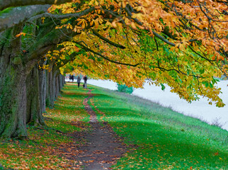 Spaziergaenger im Herbst im Stadtwald Koeln, NRW, Germany