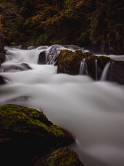 Fototapeta na wymiar waterfall in the forest 