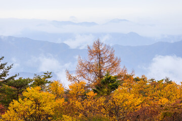 日本の百名山・10月の八ヶ岳・山梨