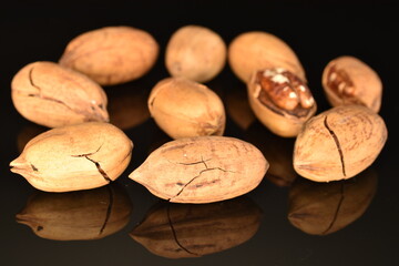 Several ripe unpeeled pecans, close-up, isolated on black.