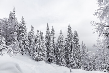 Naklejka premium Winter landscape. Zyuratkul national Park, Chelyabinsk region, South Ural, Russia