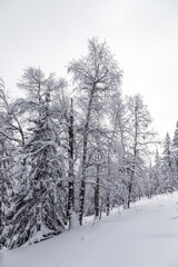 Obraz na płótnie Canvas Winter landscape. Zyuratkul national Park, Chelyabinsk region, South Ural, Russia