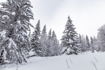 Winter landscape. Zyuratkul national Park, Chelyabinsk region, South Ural, Russia