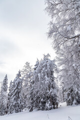 Winter landscape. Zyuratkul national Park, Chelyabinsk region, South Ural, Russia