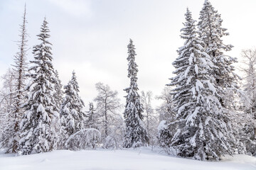 Winter landscape. Zyuratkul national Park, Chelyabinsk region, South Ural, Russia