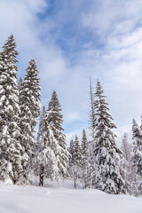 Winter landscape. Zyuratkul national Park, Chelyabinsk region, South Ural, Russia