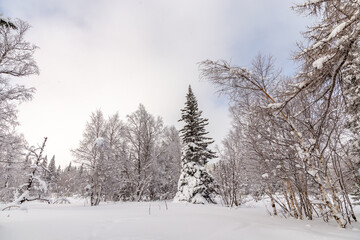 Winter landscape. Zyuratkul national Park, Chelyabinsk region, South Ural, Russia