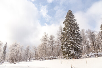 Winter landscape. Zyuratkul national Park, Chelyabinsk region, South Ural, Russia.