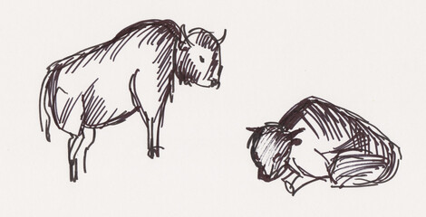 instant sketch, bisons © krimzoya46