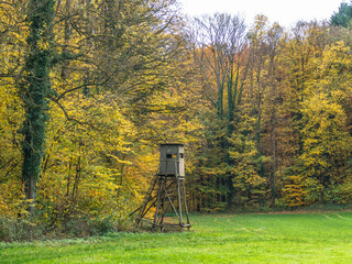 Naklejka premium Hoch und Jägersitz