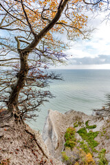 Gigantische Kreidefelsen - Ostseeküste in Dänemark