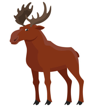 Standing elk three quarter view. Beautiful animal in cartoon style.