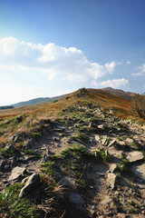 Tourists treking to Polonina Wetlinska. Bieszczady Mountains landscape.