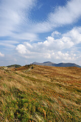 Fototapeta premium Tourists treking to Polonina Wetlinska. Bieszczady Mountains landscape.