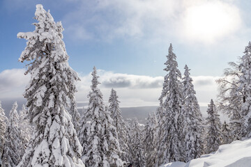 Fototapeta premium Winter landscape. Zyuratkul national Park, Chelyabinsk region, South Ural, Russia.