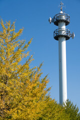 秋空と電波塔