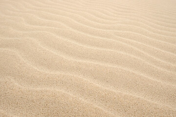 Fototapeta na wymiar Sandy pattern background. Natural dune waves.