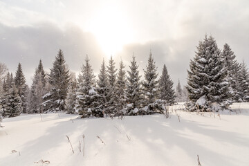 Fototapeta premium Winter landscape. Zyuratkul national Park, Chelyabinsk region, South Ural, Russia.