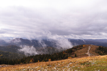 Natural gloomy background of autumn mountains with yellow trees and fir trees on a cloudy day with clouds in the sky and fog