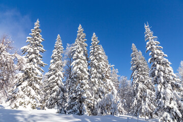 Winter landscape. Zyuratkul national Park, Chelyabinsk region, South Ural, Russia.