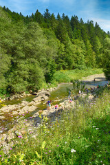 Reserve Blue Whirlpools Sine Wiry, National Park. Bieszczady Mountains in Poland.