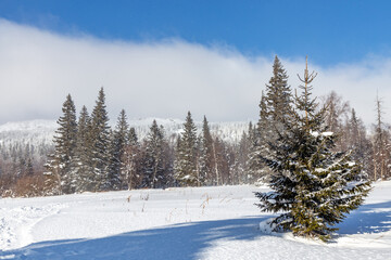 Winter landscape. Zyuratkul national Park, Chelyabinsk region, South Ural, Russia.
