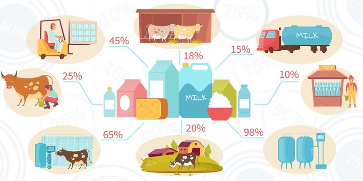 Dairy Products Flat Infographics