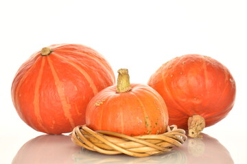 Ripe organic pumpkin, close-up, on a white background.