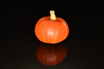 Ripe organic pumpkin, close-up, on a black background.