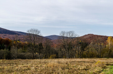 Bieszczady jesienią 
