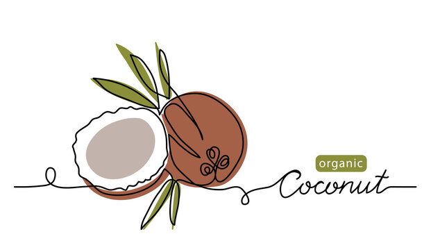 Coconut simple vector line illustration. Single line art drawing with lettering organic coconut.