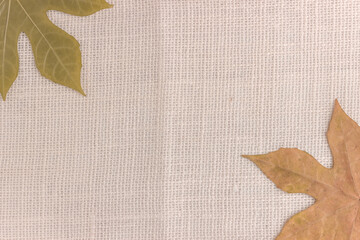 Fabric and leaves background wallpaper