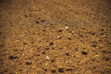 Dry agriculture field in summer