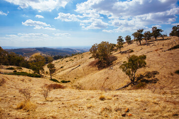 King Valley Landscape in Australia