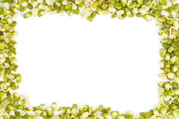 Germinated seeds of mung bean isolated on a white background.Frame