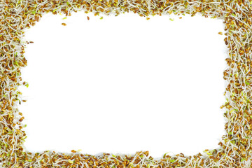 Germinated alfalfa seeds. Frame. Isolated on white background