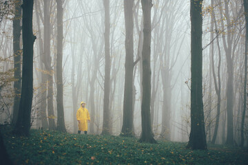 Man got lost in a spooky foggy forest among tall trees