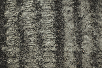 Bed with planted carrot seeds on the farm field. Selective focus.