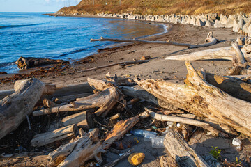 Plastic bottles and wastes trash pollute the beach. Old trees and rubbish washed ashore after the storm. Global problem of environmental pollution. Careless and irresponsible attitude to nature.