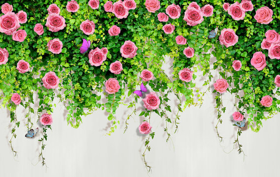 Fototapeta 3D pink roses with butterflies on a living wall of greenery.